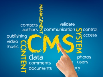 Content Management Systems